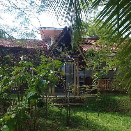 Home In The Island Tangalle Εξωτερικό φωτογραφία